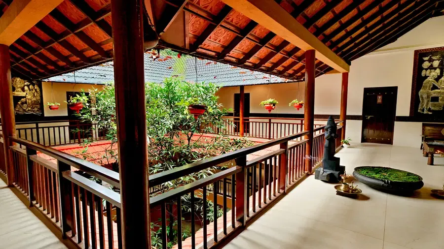 A Bird's Eye View of Paradise: The Treehouse Experience — photo 7