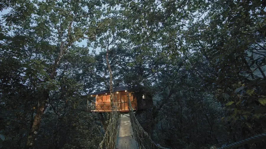 A Bird's Eye View of Paradise: The Treehouse Experience — photo 21