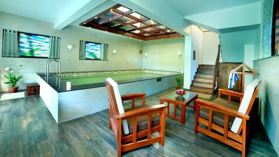 A Bird's Eye View of Paradise: The Treehouse Experience — photo 18
