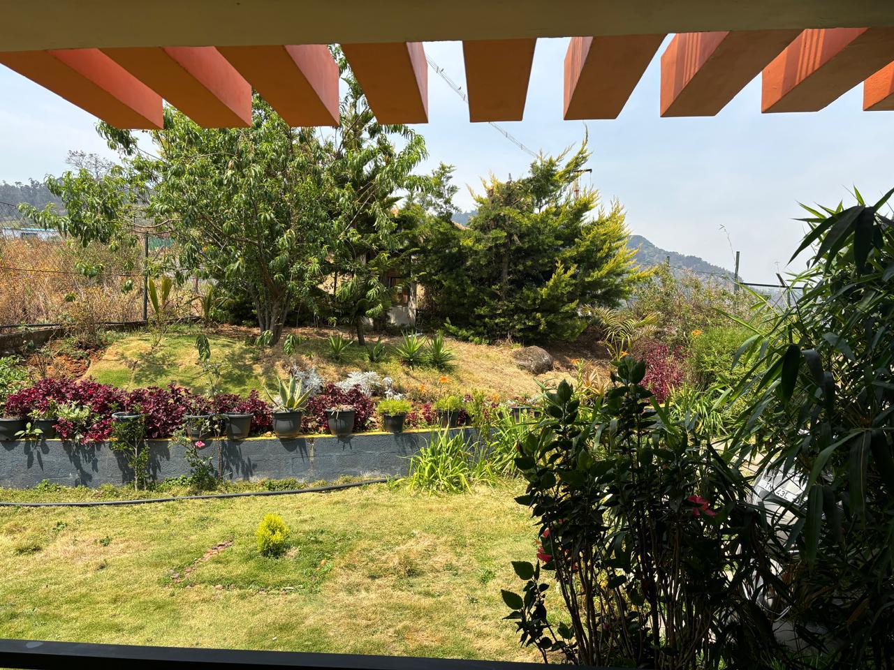 The Home Away from Home — photo 5