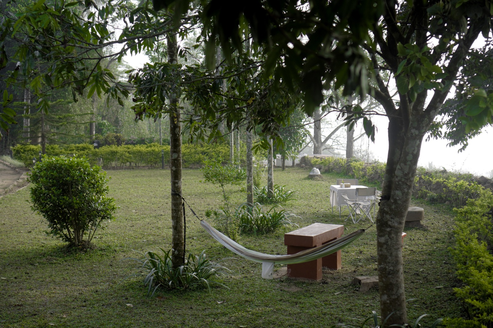 A 140-year-old British bungalow in the hills of Wayanad — photo 7